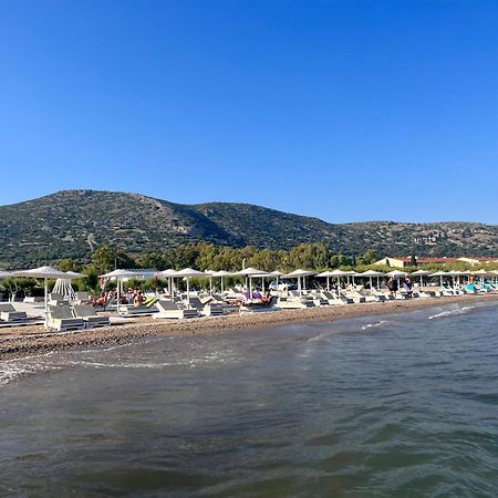 피타고레이오 Holiday Oasis With Private Patio And Hammam-Style Bath In Chora-Pithagoreo, Samos Island 빌라 외부 사진